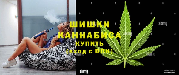 гидропоника Елабуга