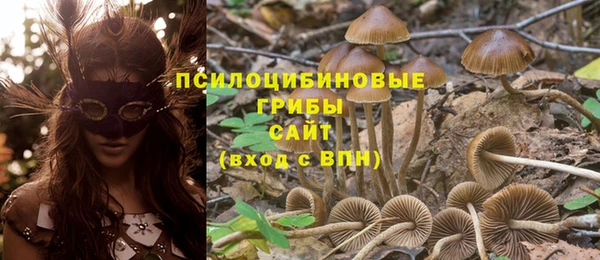 мескалин Заводоуковск