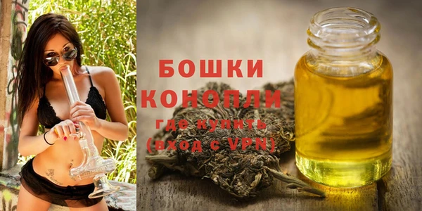 мдма Ельня