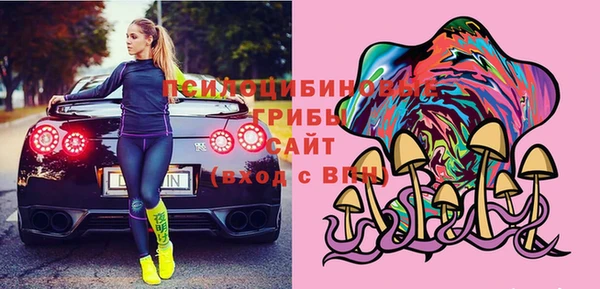 кокс Дмитриев