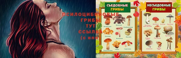 мдма Ельня