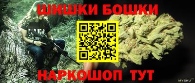 крисы Нальчик