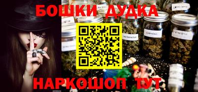 крисы Нальчик