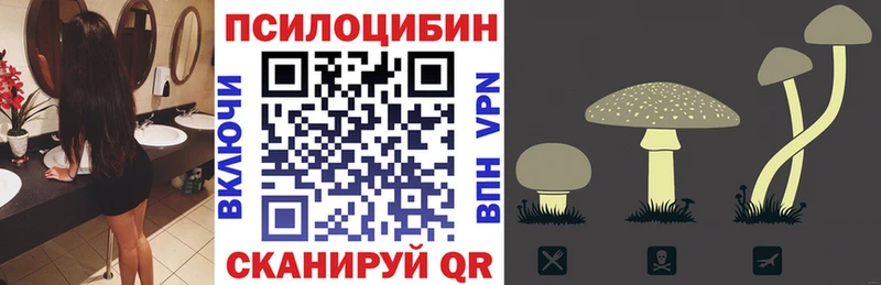 ссылка на мегу вход  Радужный  Псилоцибиновые грибы мицелий 